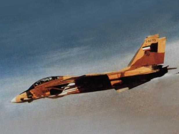 IIAF F-14A Tomcat 