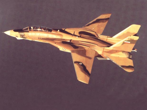 IIAF F-14A Tomcat  