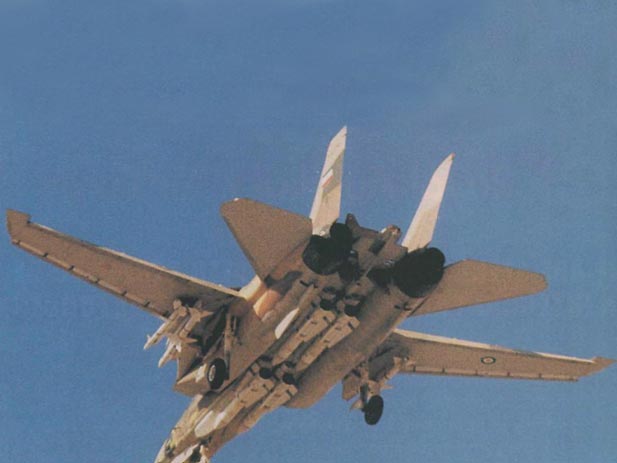 IRIAF F-14A Tomcat 