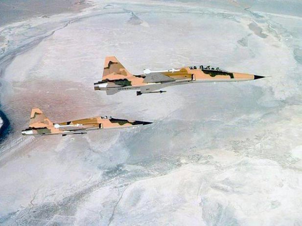 IRIAF Northrop F-5F Tiger II  