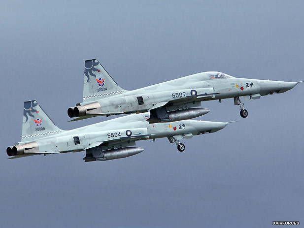 Taiwan 'grounds F-5 fighter jets' after crash