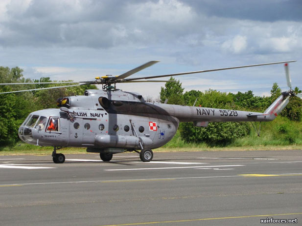 Poland Opens Tender for New Multipurpose Helicopters
