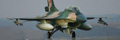 Venezuelan Air Force Lockheed F-16B Fighting Falcon Block 15 (6)